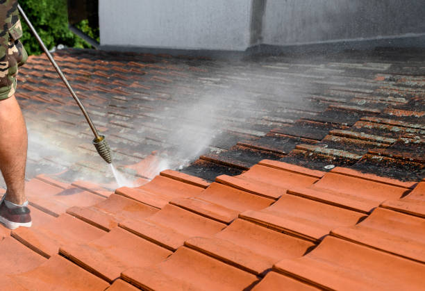 Best Best Pressure Washing Companies  in Sebring, FL