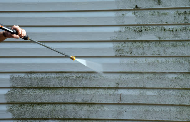 Best Garage Pressure Washing  in Sebring, FL